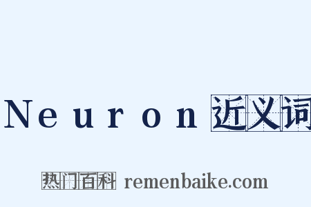 Neuron近义词是什么意思的图片